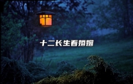 十二长生看婚姻 十二长生看婚姻状态