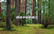 四柱中财的概念 财在四柱的区别