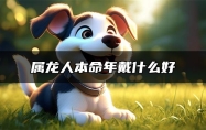 属龙人本命年戴什么好 2024年属龙人戴普贤菩萨禁忌