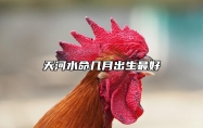 天河水命几月出生最好 1966年属马几月出生好