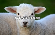 属羊人优点和缺点 属羊的人一生命运怎么样