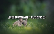 属鼠的男生是什么类型老公
