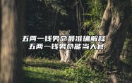 五两一钱男命最准确解释 五两一钱男命能当大官