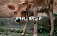 属牛的出生年份表 属牛的年份对照表