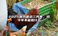 2025属鸡最忌三件事，鸡今年不能做什么 属鸡在2025年的运势好不好呢
