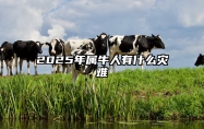 2025年属牛人有什么灾难