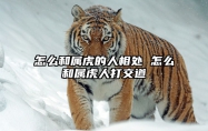 怎么和属虎的人相处 怎么和属虎人打交道 怎么和属虎的人谈恋爱
