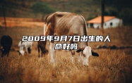 2009年9月7日出生的人命好吗 生辰八字运势详解