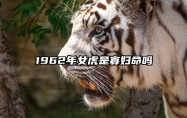 1962年女虎是寡妇命吗 1962年属虎人的终生寿命