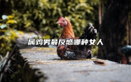属鸡男最反感哪种女人 怎么拿捏属鸡的男人