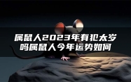 属鼠人2023年有犯太岁吗？属鼠人今年运势如何