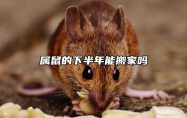 属鼠的下半年能搬家吗 属鼠人2024年下半年忌讳什么