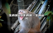 生肖猴68年的猴一生的运势 68年属猴56岁有一灾