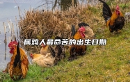 属鸡人最命苦的出生日期 农历几月的鸡最有福气