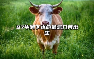97牛涧下水命最忌几月出生 属牛1997涧下水命是什么意思