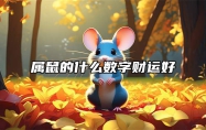属鼠的什么数字财运好