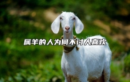属羊的人为何不讨人喜欢 属羊的人很讨厌