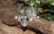 童子煞有三个征兆