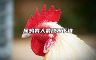属鸡男人最放不下谁 属鸡男人对待爱情和婚姻