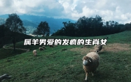属羊男爱的发疯的生肖女 属羊男容易爱上哪个生肖女