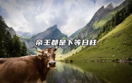 帝王都是下等日柱 上等日柱能看出大富或大贵的格局