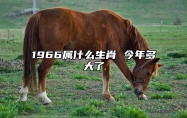 1966属什么生肖 今年多大了 1966属什么生肖 今年多大了性格特点