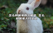 怎么和属兔的人相处 怎么和属兔人打交道 属兔和属兔相处得怎么样