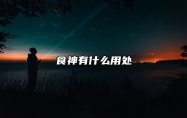 食神有什么用处 