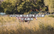 2026属马本命年适合戴什么首饰 2026年属马是什么颜色
