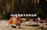 84年女鼠下半年运势