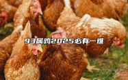 93属鸡2025必有一难 93属鸡2025必有一难是几月份