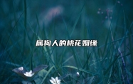 属狗人的桃花姻缘 属狗人的最佳配偶是什么生肖