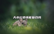 天水讼感情能复合吗 天水讼卦工作变动
