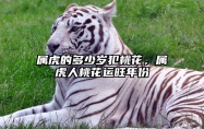 属虎的多少岁犯桃花，属虎人桃花运旺年份 属虎的人哪几年犯太岁
