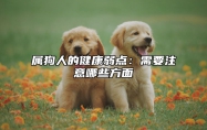 属狗人的健康弱点：需要注意哪些方面 属狗的人2021身体健康的运势