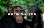 属猴人最吃香的三个职业 属猴人适合什么职业和工作
