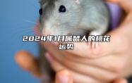 2024年1月属鼠人的桃花运势 2024年属鼠10月爱情运势