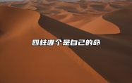 四柱哪个是自己的命 八字四柱怎么看