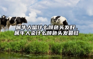 属牛人留什么颜色头发好，属牛人染什么颜色头发最旺 属牛女染什么颜色头发