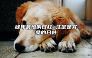 晚年最惨的日柱 注定是穷命的日柱