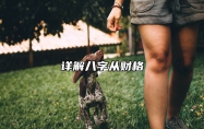 详解八字从财格 八字从财格条件