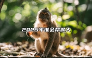 2025年谁会帮猴人 