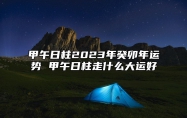甲午日柱2023年癸卯年运势 甲午日柱走什么大运好
