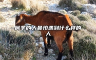 属羊的人最怕遇到什么样的人 属羊的人最怕遇到什么样的人和事情