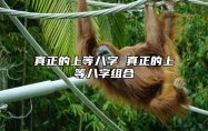 真正的上等八字 真正的上等八字组合