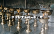 辛卯日出生的人怎么样 辛卯日出生好不好