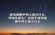被鸟屎砸中身上暗示什么,可以化解么? 在树下被鸟屎砸中身上暗示什么
