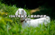 1967年属羊人是水命还是火命 1967年属羊是水命吗