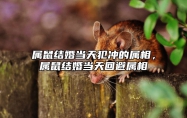 属鼠结婚当天犯冲的属相，属鼠结婚当天回避属相 属鼠结婚冲鼠怎么办