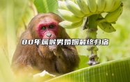 80年属猴男婚姻最终归宿 80属猴男命中注定老婆